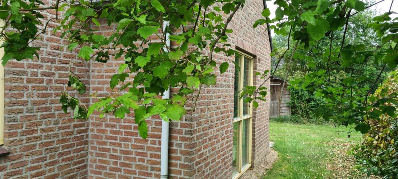 Forestview 'Queenstown' 6 Pers Very Child-Friendly By Kawatea Cottages (Adults Only) Ewijk Eksteriør bilde