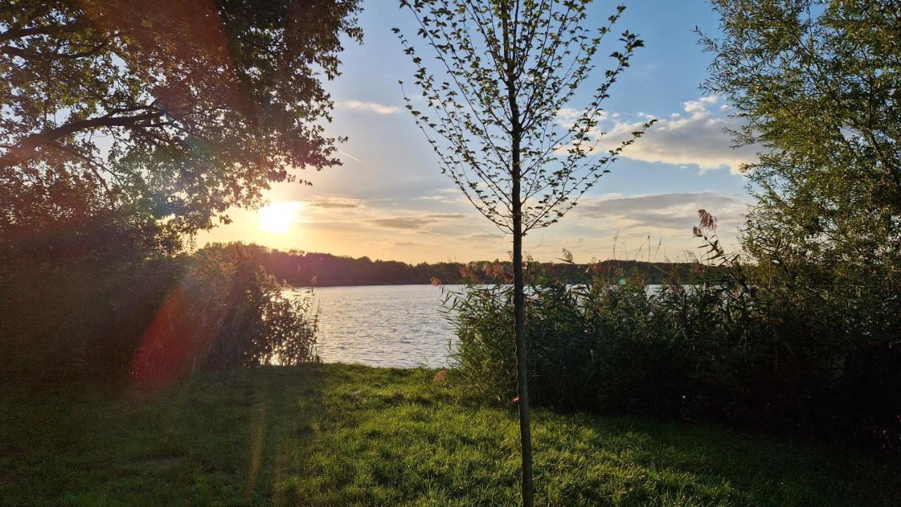 Forestview 'Queenstown' 6 Pers Very Child-Friendly By Kawatea Cottages (Adults Only) Ewijk Eksteriør bilde