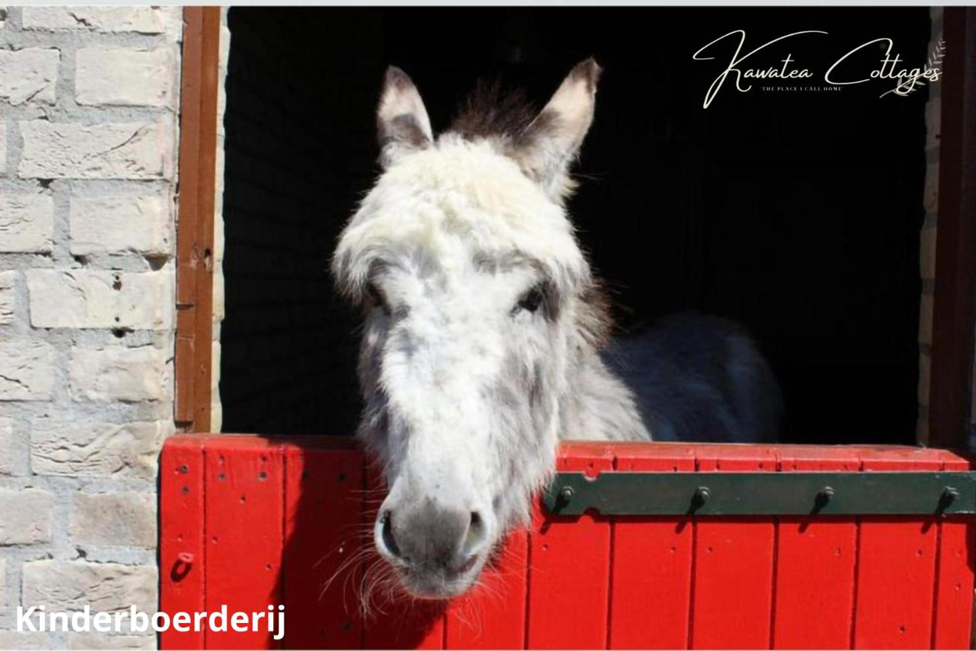 Forestview 'Queenstown' 6 Pers Very Child-Friendly By Kawatea Cottages (Adults Only) Ewijk Eksteriør bilde